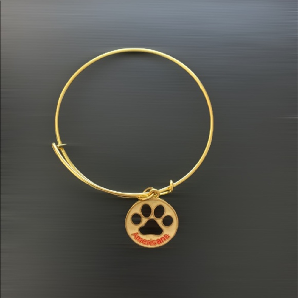 Americana Winery charm bracelet 🍷